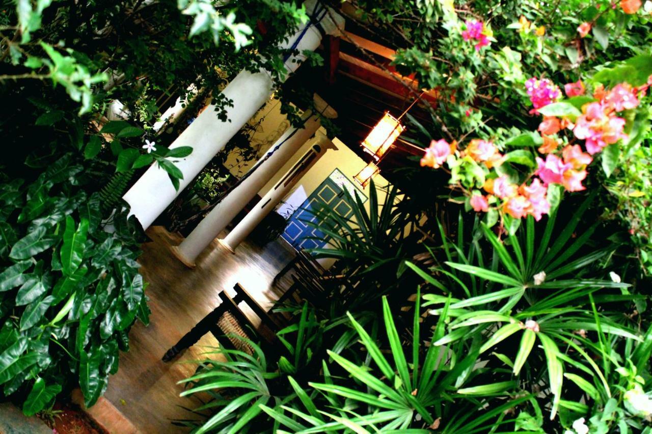 The Courtyard Villa Sigirija Zewnętrze zdjęcie